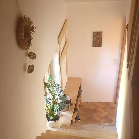 Sigrids شقة